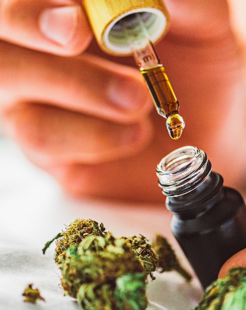 CANNABIS OIL