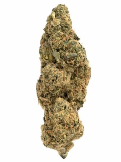 Biscotti Strain
