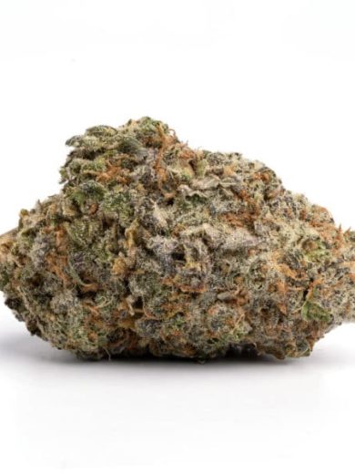 Blue Cheese Strain for Sale
