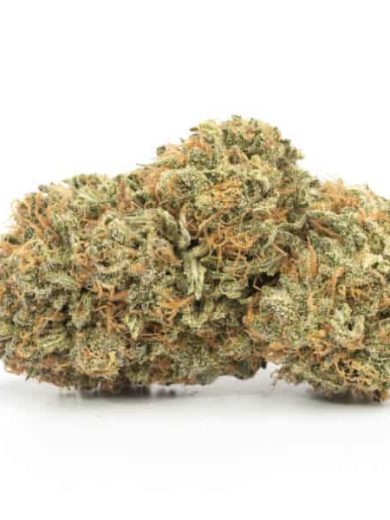 Blueberry Strain for Sale