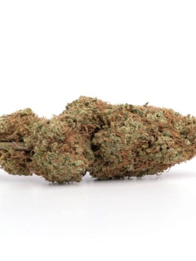 Cherry Pie Strain for Sale