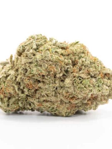 Golden Goat Strain