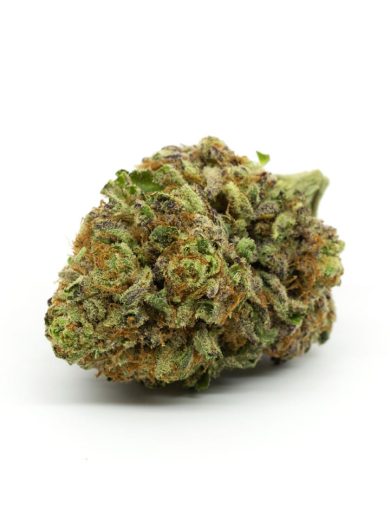 Obama Kush Strain for Sale