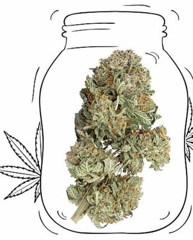 Organic OG Kush