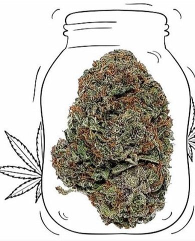 Purple kush