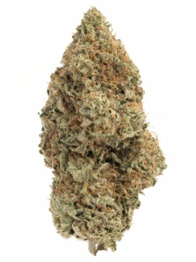 Slurricane Strain