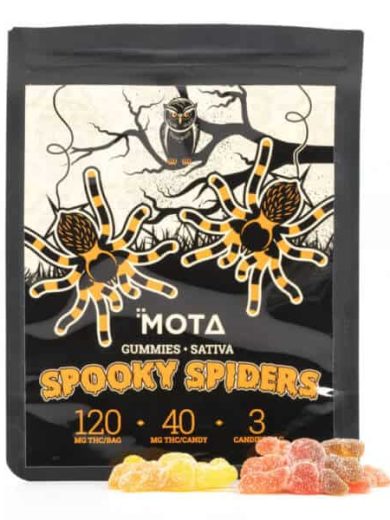 Spooky Spiders (Mota)